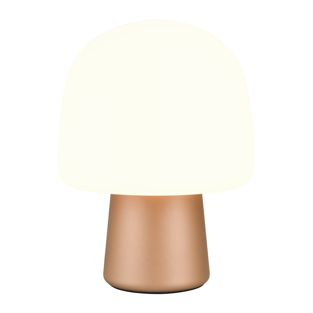 Fehér-bronzszínű asztali lámpa üveg búrával (magasság 27 cm) Steen – Trio