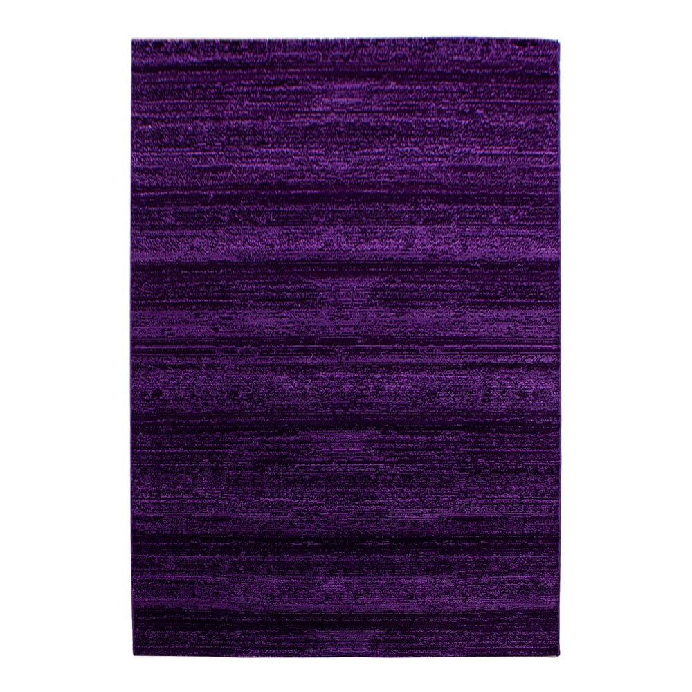 Sötétlila szőnyeg 120x170 cm Plus – Ayyildiz Carpets