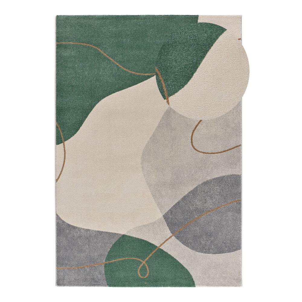 Zöld szőnyeg 160x230 cm Edesa – Universal