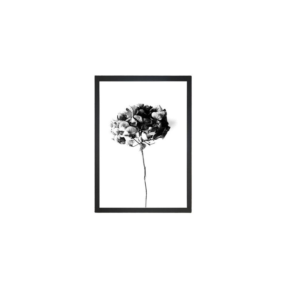 Kép 24x29 cm Velvet Flower – Vavien Artwork