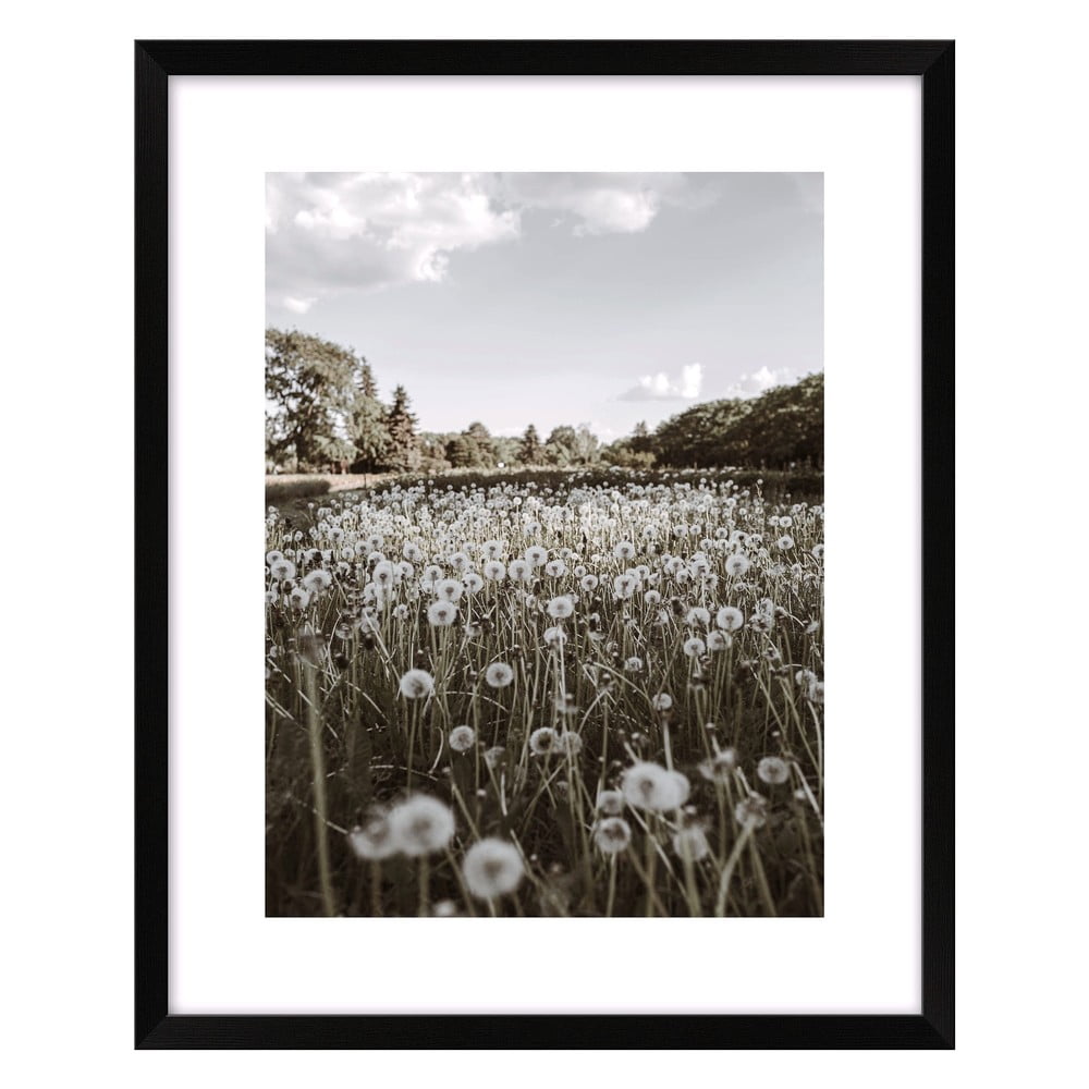 Kép 40x50 cm Meadow – knor